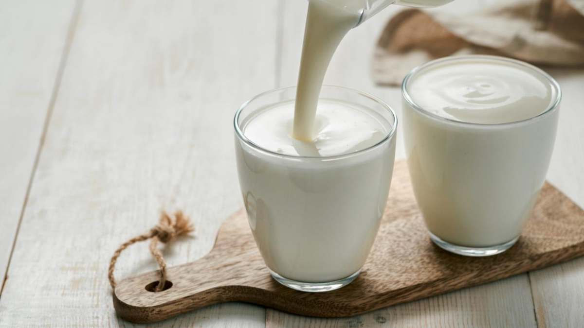 Leche fermentada: Fuente natural de probióticos que promueven una microbiota intestinal equilibrada y fortalecen el sistema inmunológico.